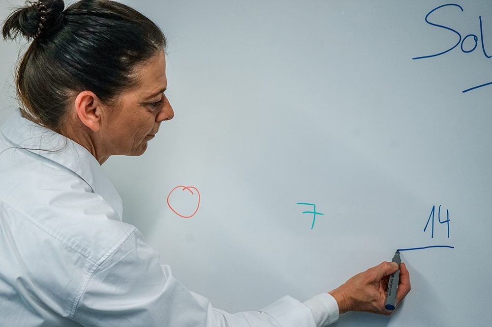 Schulungen und Workshops durch die Blitzeblankos Solution Sagl